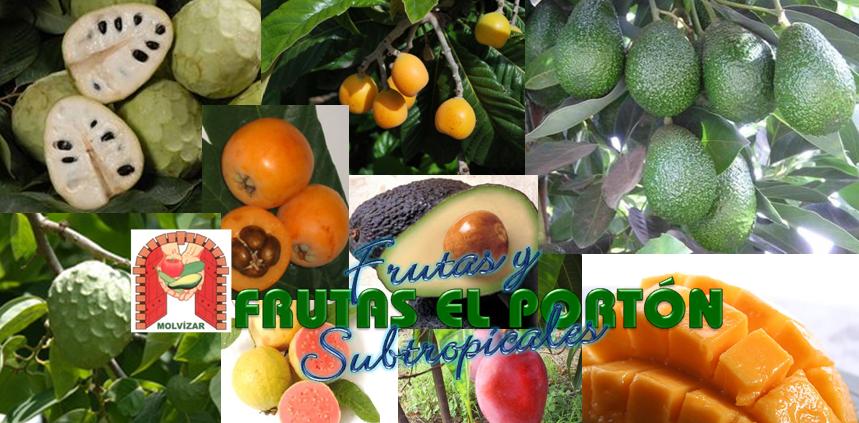 Frutas y Subtropicales